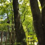 定年後、地方移住を想定した旅行をしてみたい