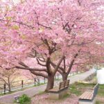 定年後とお金、都市部の家を売って、地方移住することを妄想してみた