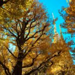 定年準備と年金の基本的なこと、「何歳からもらうのが良いか？」