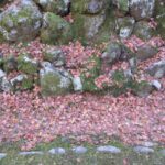 老後資金のための衝立投資を始められない人達の特徴