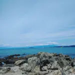 定年後とお金、退職金の正しい使い道について考えてみた