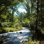 早期退職、57歳から60歳の収入ゼロの３年間を切り抜けた方法と生活