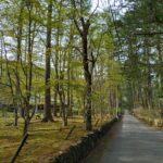 定年後、50代でやっておけば良かったと後悔すること